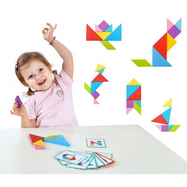 TOOKY Toy Tangrams (koka) puzzle